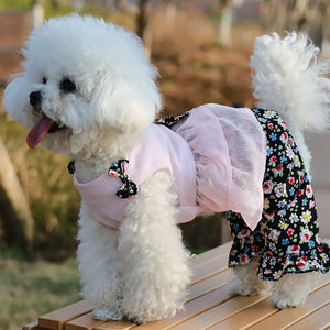 White dog in a pink top and flor pant romper sitting on a wooden bench outdoors.