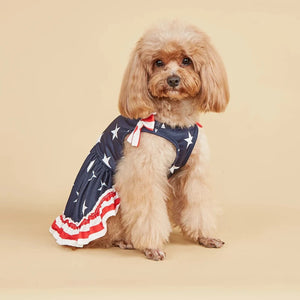 Poodle in American Flag Dog dress