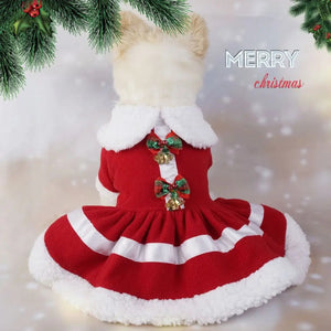 Pomeranian  in a red Christmas dress with white trim, standing under a decorated tree.