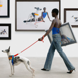 Italian Greyhound wearing Red Polka Dot Chroma Dog Harness & Leash Set at a museum exhibition