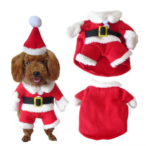 Dog wearing a Santa Claus costume with a hat, coat, and pants on a white background.