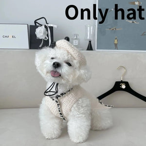 White beret cap has white rose and is adjustable. Modeled here on Maltipoo.