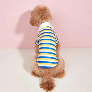 Back view of Pooldle wearing Yellow Blue Striped Dog Polo Shirt