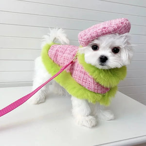 Maltese in Tres Chic Pink and Lime Tweed Coat, Beret Cap and Leash Set.