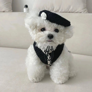 Maltipoo wearig dress featuing lace trim and hat adorned with a rose flower.