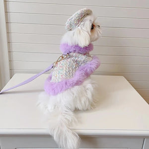 Maltese wearing Tres Chic Lilac Tweed Coat, Beret Cap & Leash Set