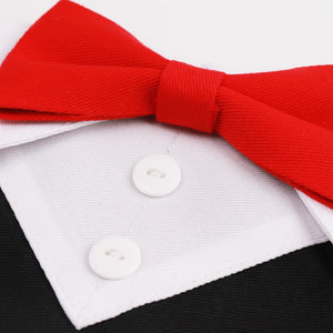 Bow tie collar features two white buttons