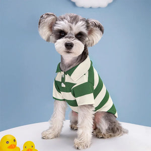 Green Striped Polo Dog Shirt on Terrier