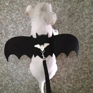 Halloween Bat Wings Dog Costume & Leash