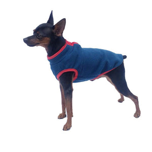 Blue fleece dog vest on Miniature Pinscher.