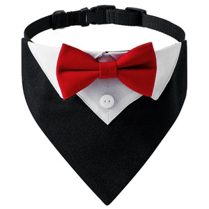 Red Bow Tie on Black Tuxedo Collar