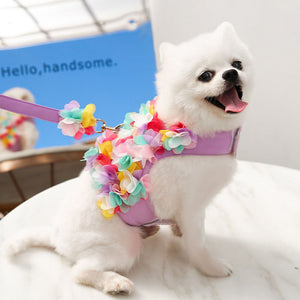 Dainty Flower Dog Harness & Leash Set