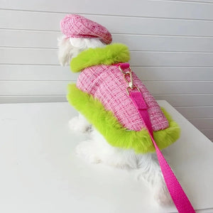 Maltese in Tres Chic Pink and Lime Tweed Coat, Beret Cap and Leash Set.