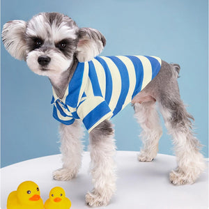 Blue Striped Polo Dog Shirt on terrier