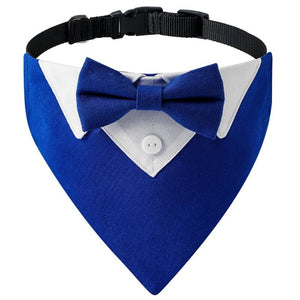 Blue Large Dog Tuxedo Bow Tie Collar