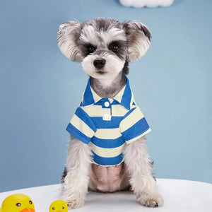 Blue Striped Polo Dog Shirt on Terrier.