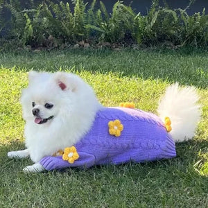 Pomeranian in Yellow Daisy Purple Dog Sweater