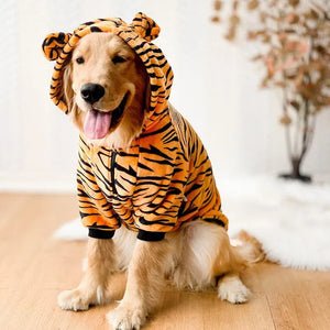 Large Dog Tiger Costume/PJs on Golden Retriever