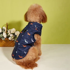 Waterproof Puffer Dog Vest in Blue with D-rings and cute dog pattern.