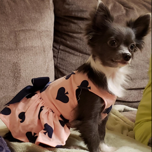 Adorned with a navy bow, this stunning dog dress is perfect for small breed dogs for weddings, birthdays, parties.