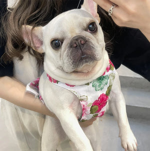 Floral Hibiscus French Bulldog/Pug Dog Dress
