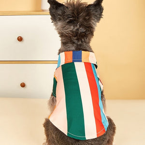 Colorful striped dog shirt is perfect for summer.