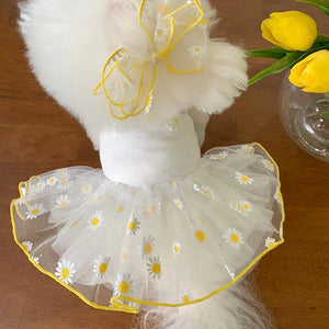 White Daisy Dog Dress