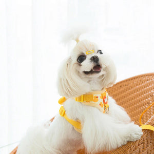 Yellow Duck Harness set is perfect for Spring/Summer walks!