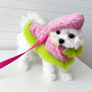 Maltese in Tres Chic Pink and Lime Tweed Coat, Beret Cap and Leash Set.