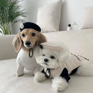 Dachsund and Matlipoo model the Chic Chanel-esque Beret Dog Hat