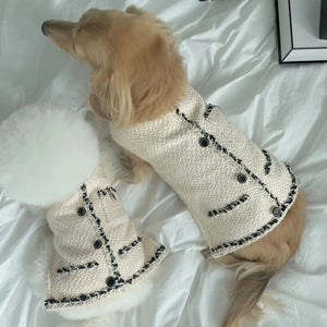 Dachsund and Matlipoo modeling Chanel-esque Hat & Dog Dress.