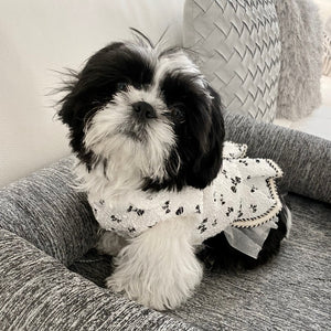 Chic Fleece-Lined Winter Princess Dog Dress Coat on Shih Tzu puppy.