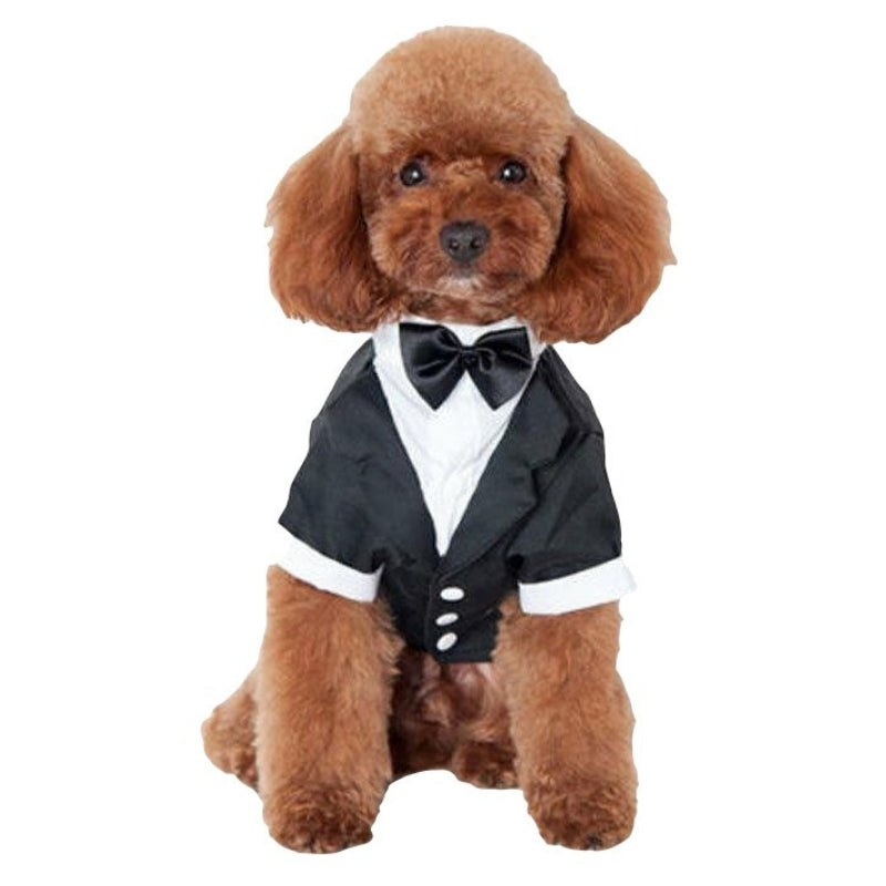 Look the part for your celebration, with our dog tuxedos, suits and ties.