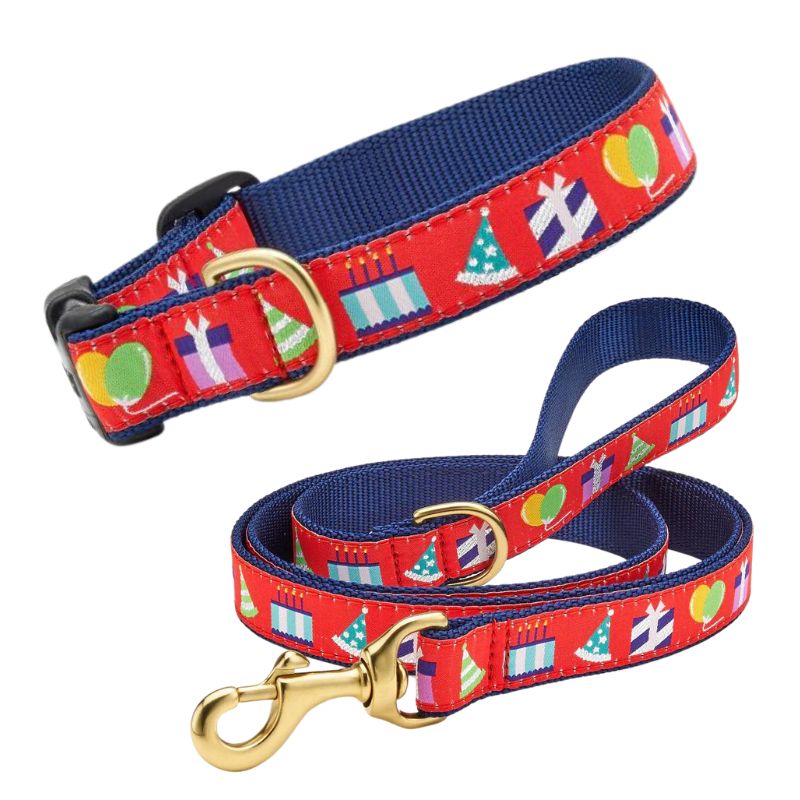 Up Country Birthday Gift Dog Collar & Leash Matching Set