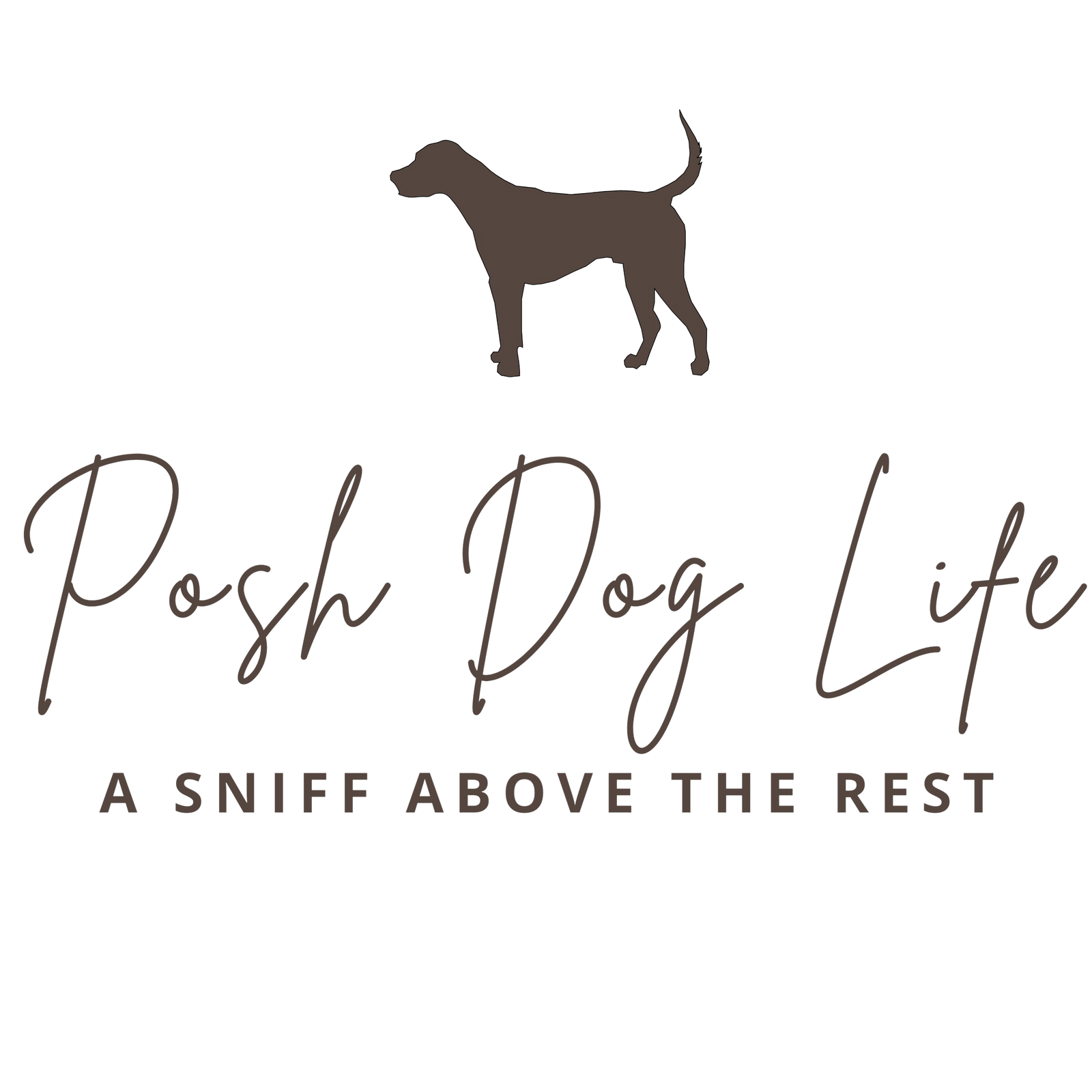 Posh Dog Life