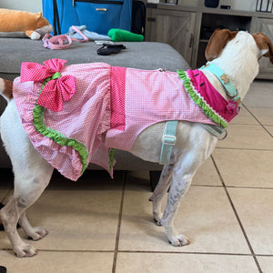 Kaycee wearing Watermelon dog dress