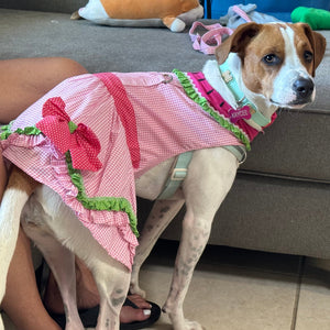 Dog wearing watermelon dog dress