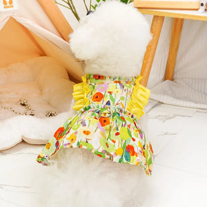 Bichon in Yellow Floral Garden Dog Dress