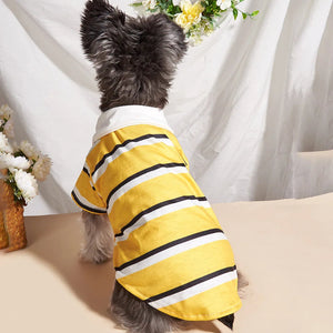 Terrier wearing Yellow Stiped Polo Dog Shirt