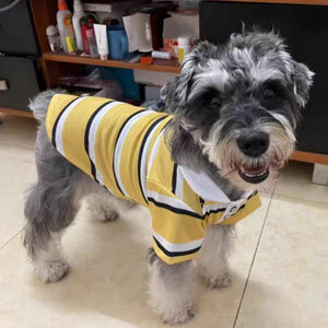 Terrier in Yellow Stiped Polo Dog Shirt
