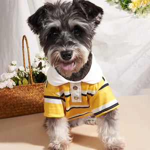 Terrier in Yellow Stiped Polo Dog Shirt