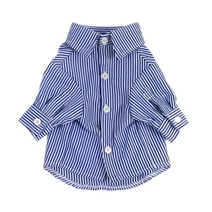 Stripe Long-Blue Sleeve Button-Down Dog Dress Shirt