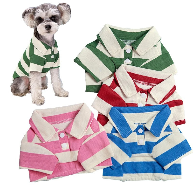 Classic polo shirt design with trendy stripes comes in green, red, pink and blue.