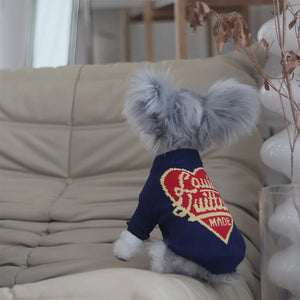 Louis Vuitton-Inspired Designer Heart Dog Sweater