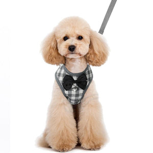 Poodle wearing Checked Tuxedo Vest Bow Tie Dog Gray Harness & Leash Set