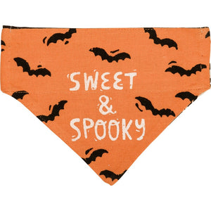 Small Halloween Reversible Collar Bandana "Sweet & Spooky" on orange side with bats.