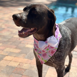 Roses Bandana Collar with White Bow fits XS-XL dogs.
