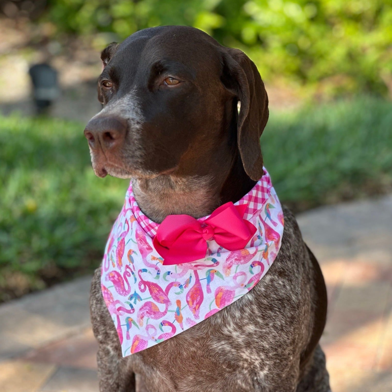 These pink Tropical Flamingo Bandana Collars with Bow are handmade in the USA by Chloe & Max.