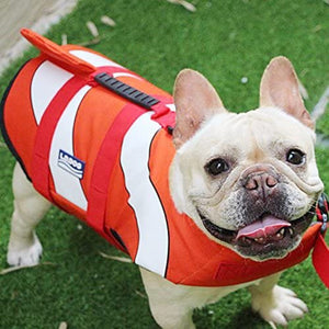 Medium and large dog breeds look adorable in this Clownfish Dog Life Jacket.