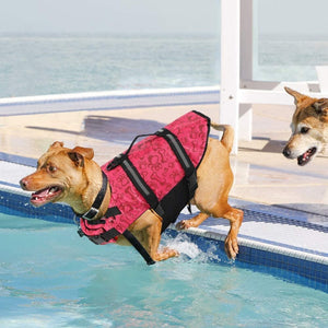 Dog life jackets are perfect for beach days and water sports. 